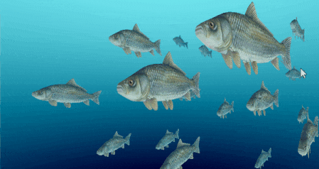 animated fish